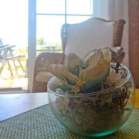 Moritzblick Appartement Baabe